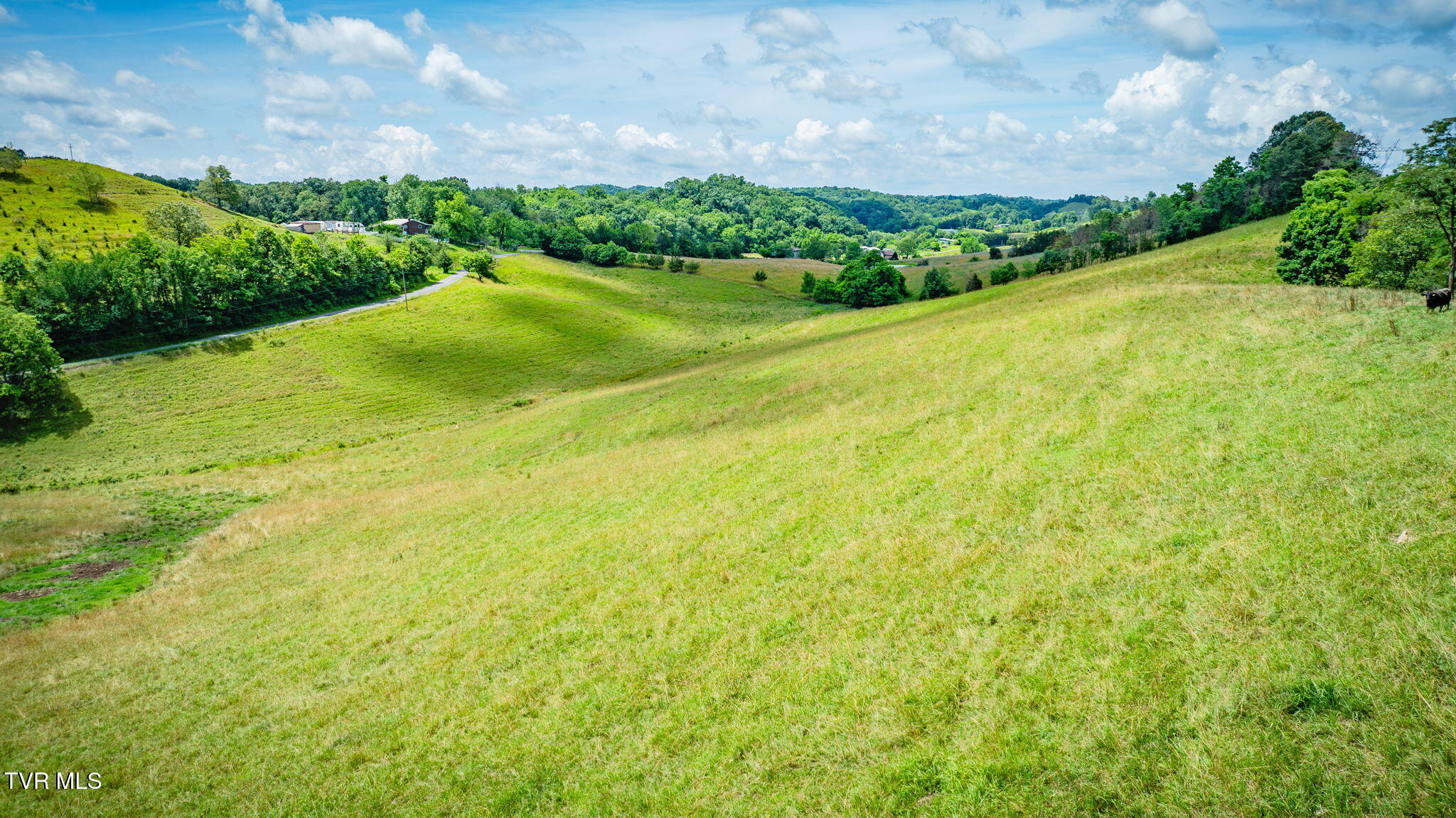 Tbd Longtown Road Bulls Gap, TN 37711 - Photo 6 of 20 116