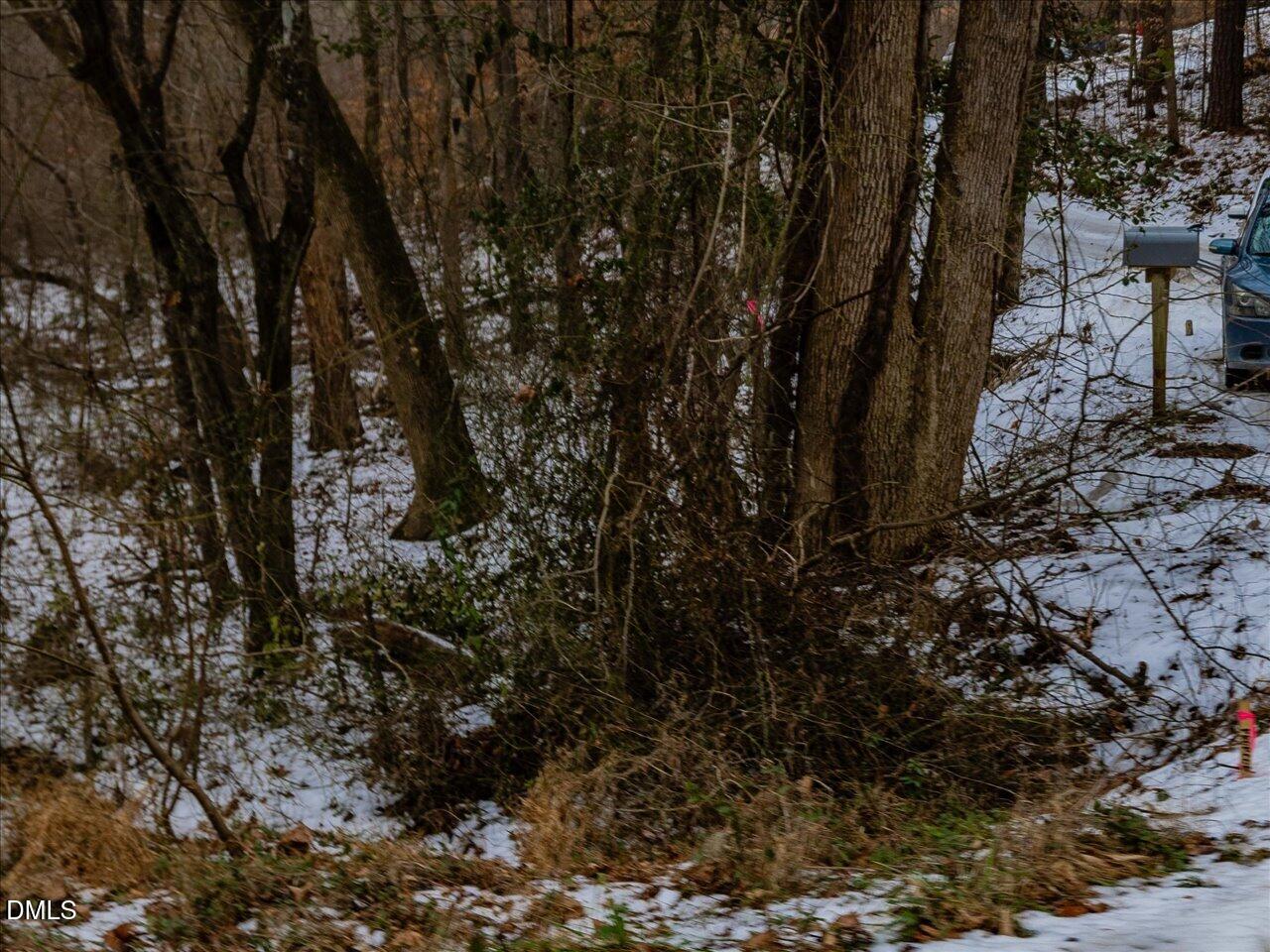 558 Jones Ferry Road Pittsboro, NC 27312 - Photo 19 of 19 a view of a forest