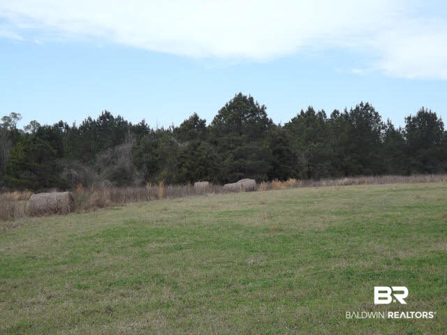 10490 Appleton Road Brewton, AL 36426 - Photo 1 of 1