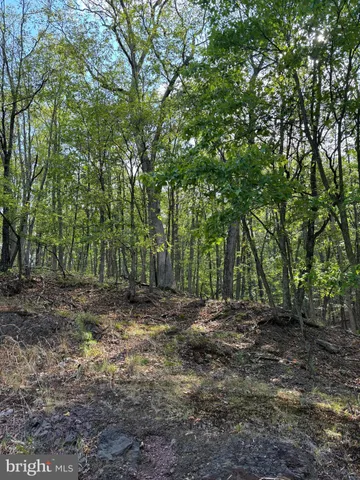 a view of outdoor space with trees
