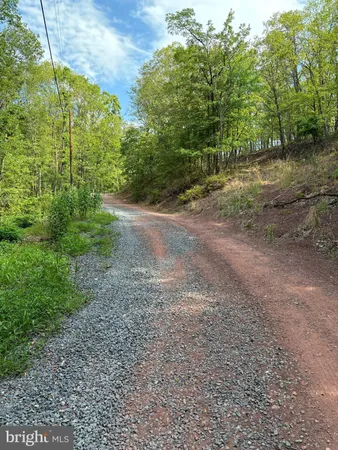 a view of a yard with large trees