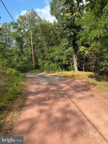 a view of a yard with plants and trees