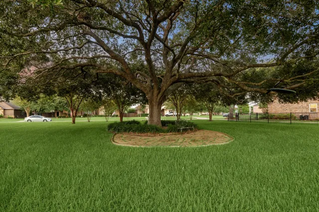 a view of a park with tree s