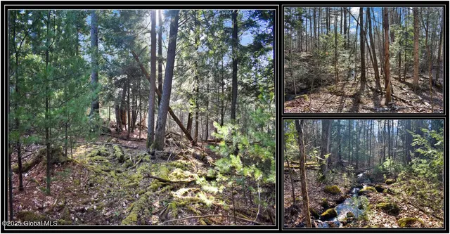 $119,000 | L9 New Hague Road, Hague, NY 12836