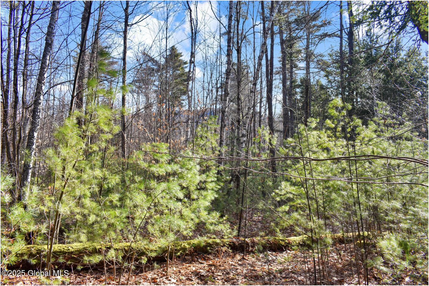 L9 New Hague Road Hague, NY 12836 - Photo 11 of 47 n18