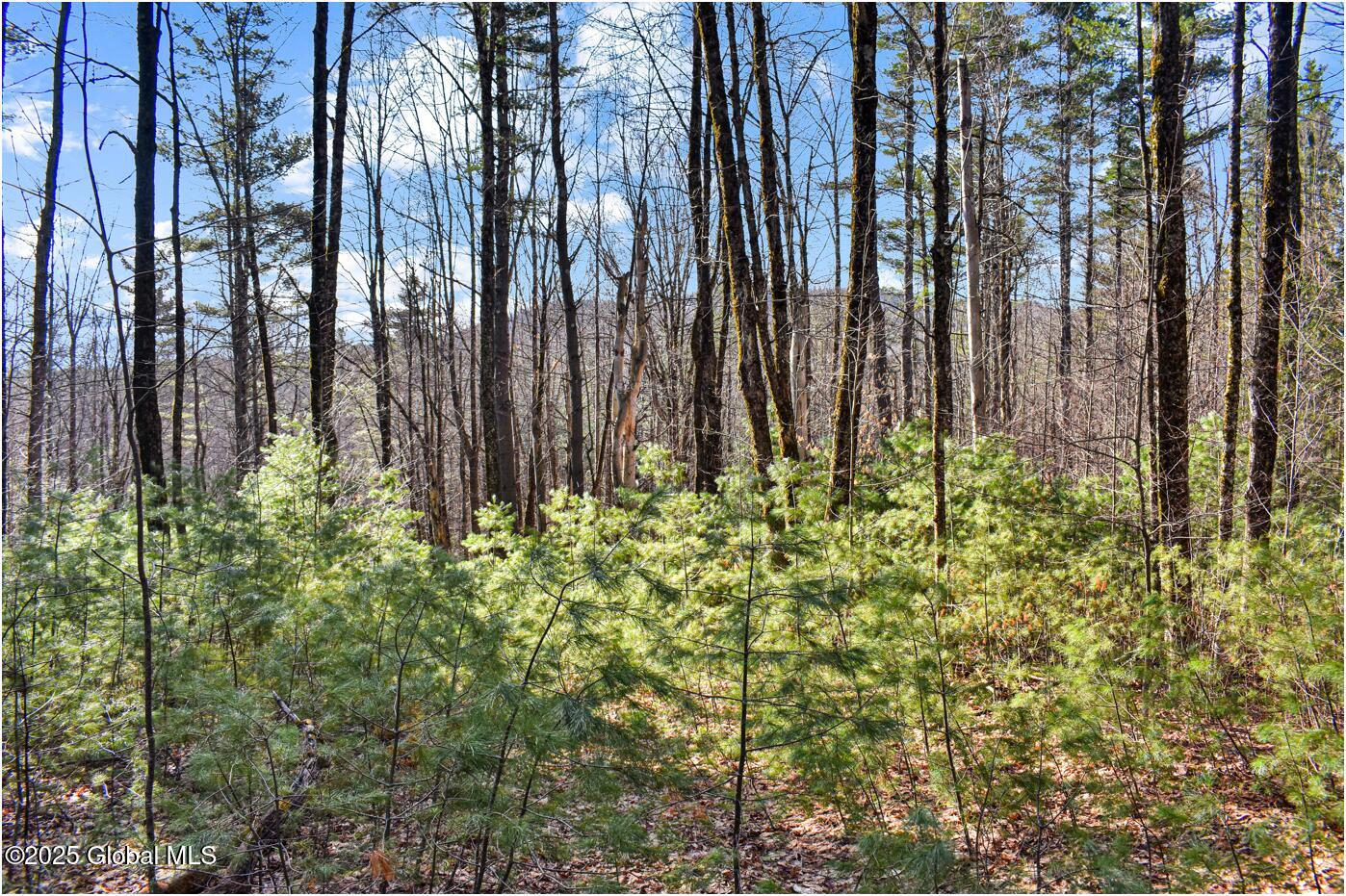 L9 New Hague Road Hague, NY 12836 - Photo 12 of 47 n40