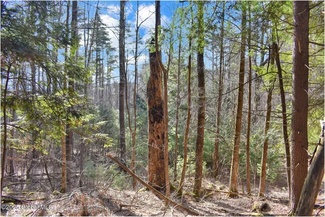 $119,000 | L9 New Hague Road, Hague, NY 12836