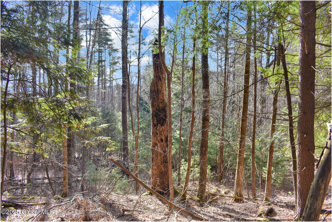 L9 New Hague Road Hague, NY 12836 - Photo 13 of 47 n42