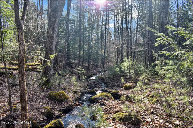 $119,000 | L9 New Hague Road, Hague, NY 12836