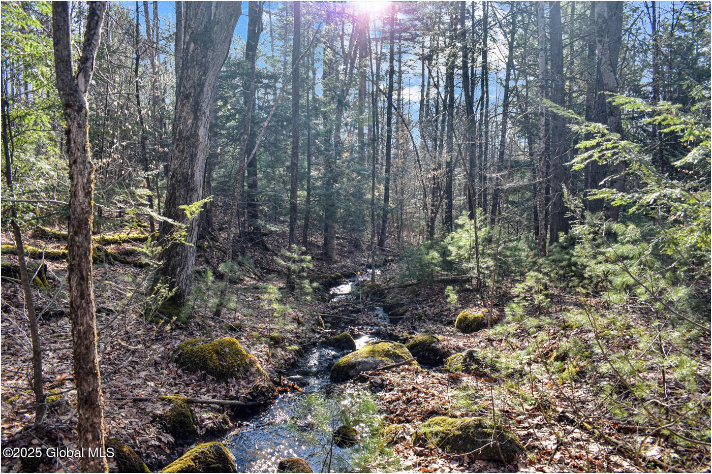 L9 New Hague Road Hague, NY 12836 - Photo 14 of 47 n24