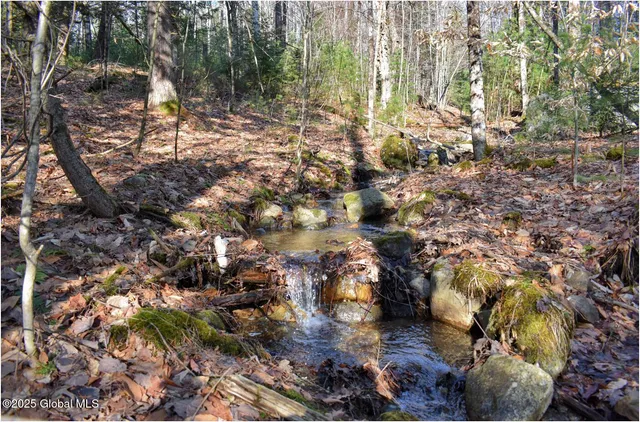 $119,000 | L9 New Hague Road, Hague, NY 12836