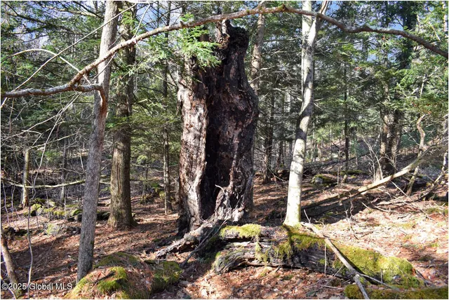 $119,000 | L9 New Hague Road, Hague, NY 12836