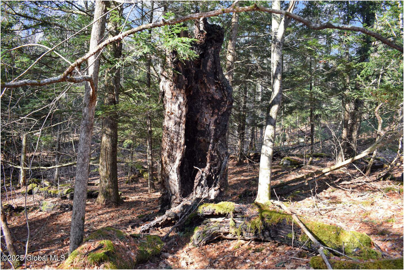 L9 New Hague Road Hague, NY 12836 - Photo 16 of 47 n34