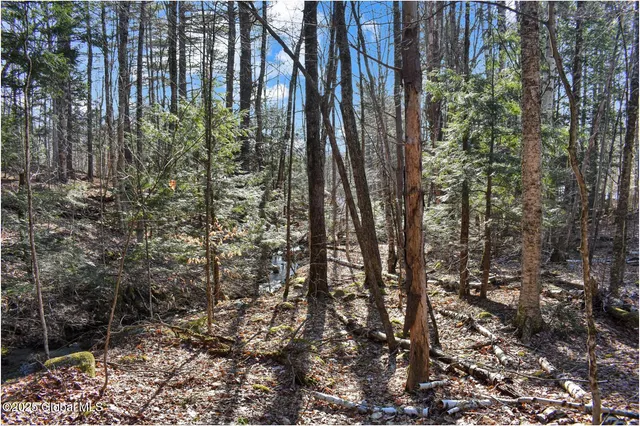 $119,000 | L9 New Hague Road, Hague, NY 12836