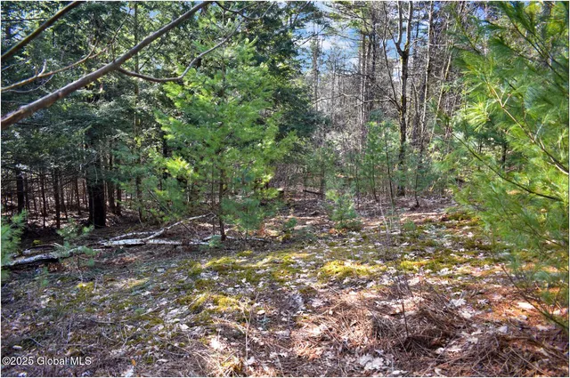 $119,000 | L9 New Hague Road, Hague, NY 12836