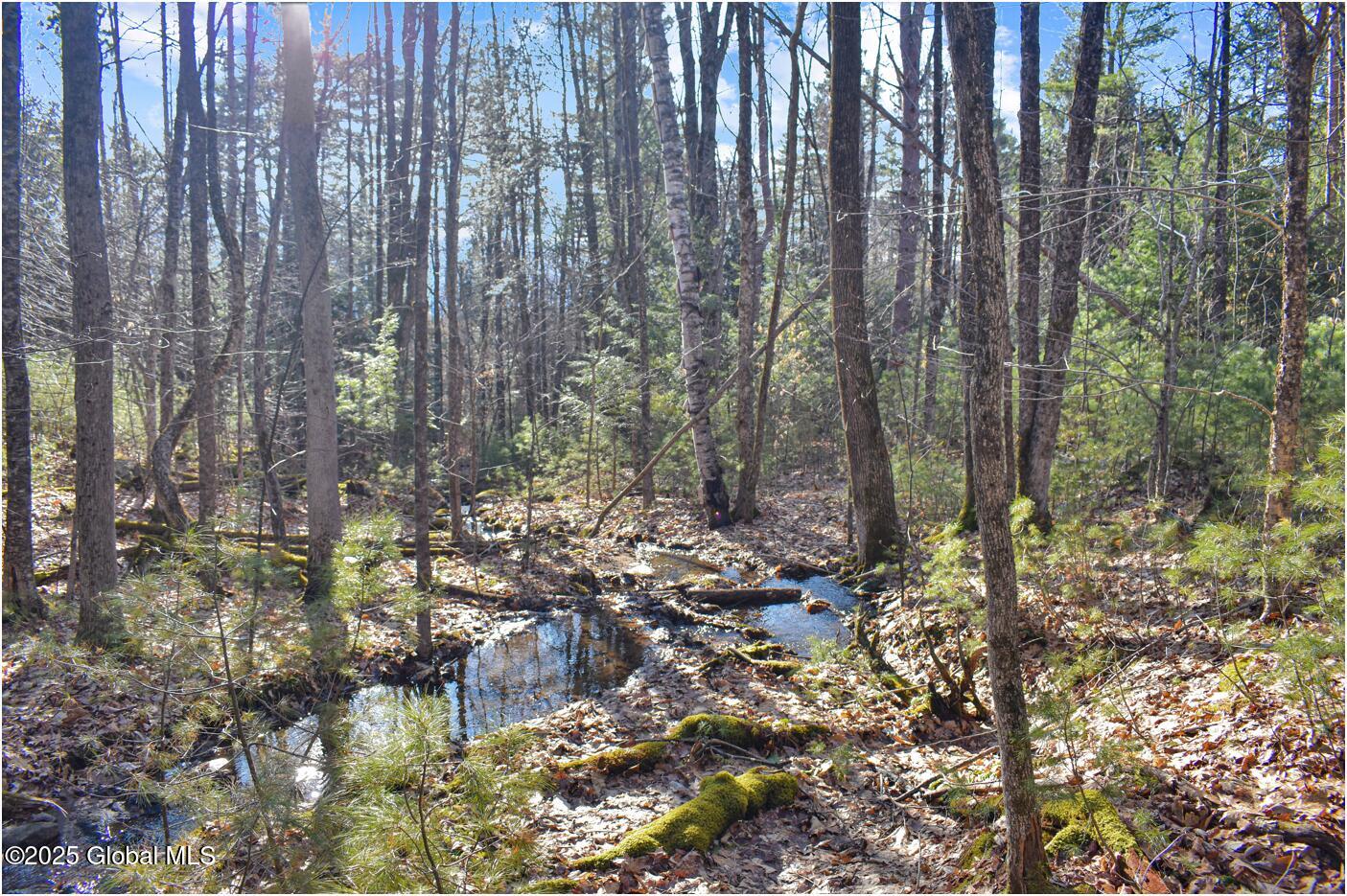 L9 New Hague Road Hague, NY 12836 - Photo 19 of 47 n22