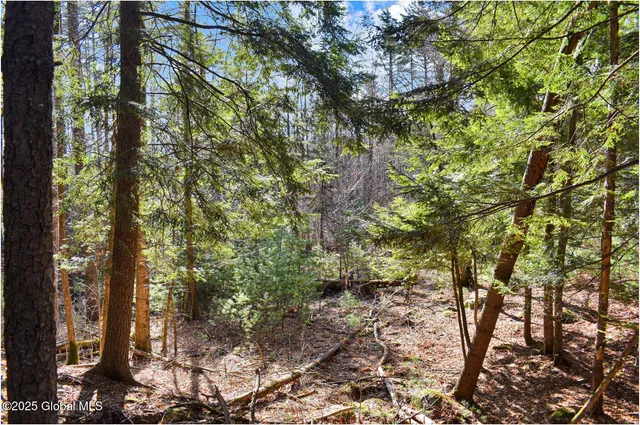 $119,000 | L9 New Hague Road, Hague, NY 12836