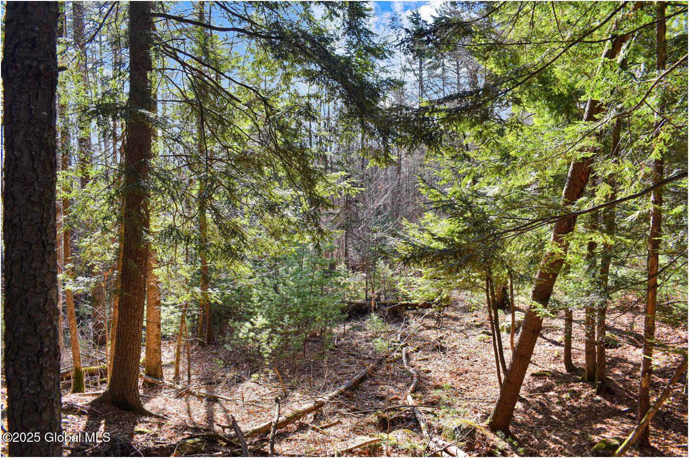 L9 New Hague Road Hague, NY 12836 - Photo 20 of 47 n43