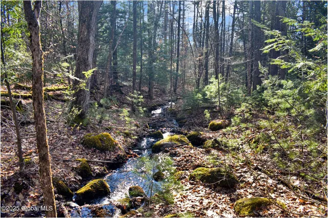 $119,000 | L9 New Hague Road, Hague, NY 12836