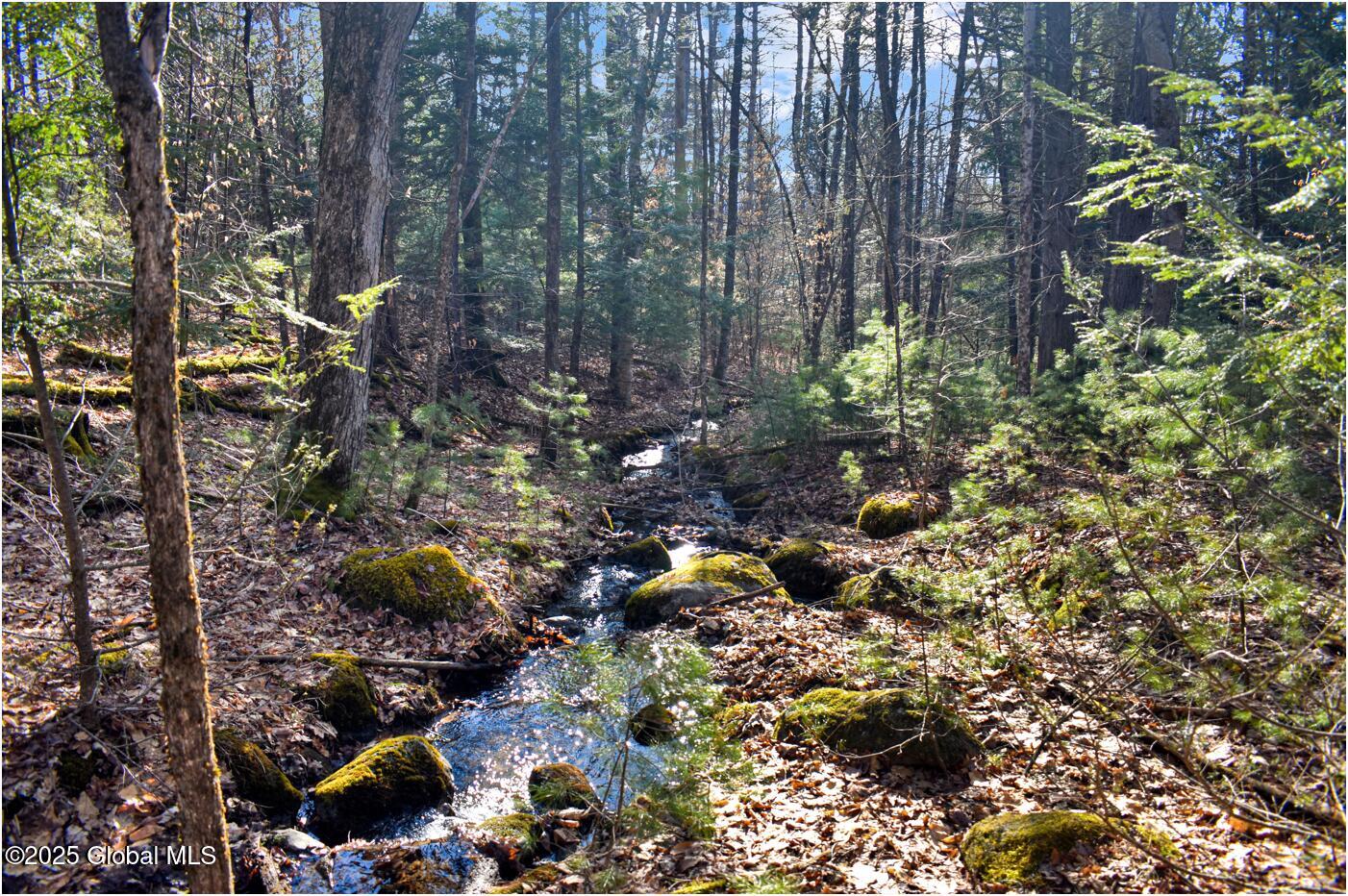 L9 New Hague Road Hague, NY 12836 - Photo 2 of 47 n25