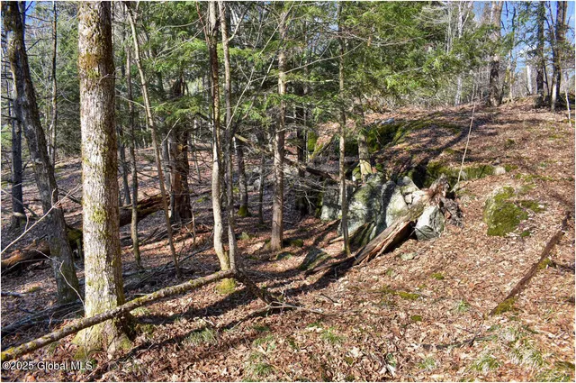 $119,000 | L9 New Hague Road, Hague, NY 12836