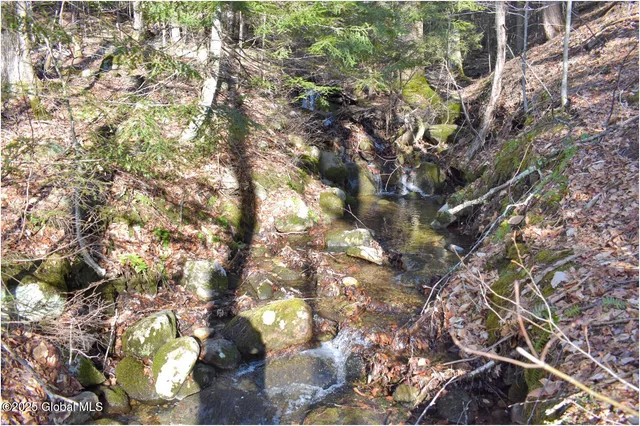 $119,000 | L9 New Hague Road, Hague, NY 12836