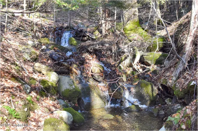 $119,000 | L9 New Hague Road, Hague, NY 12836