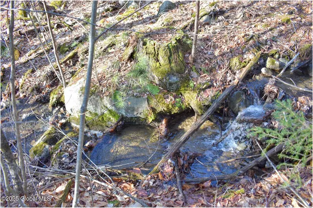 $119,000 | L9 New Hague Road, Hague, NY 12836