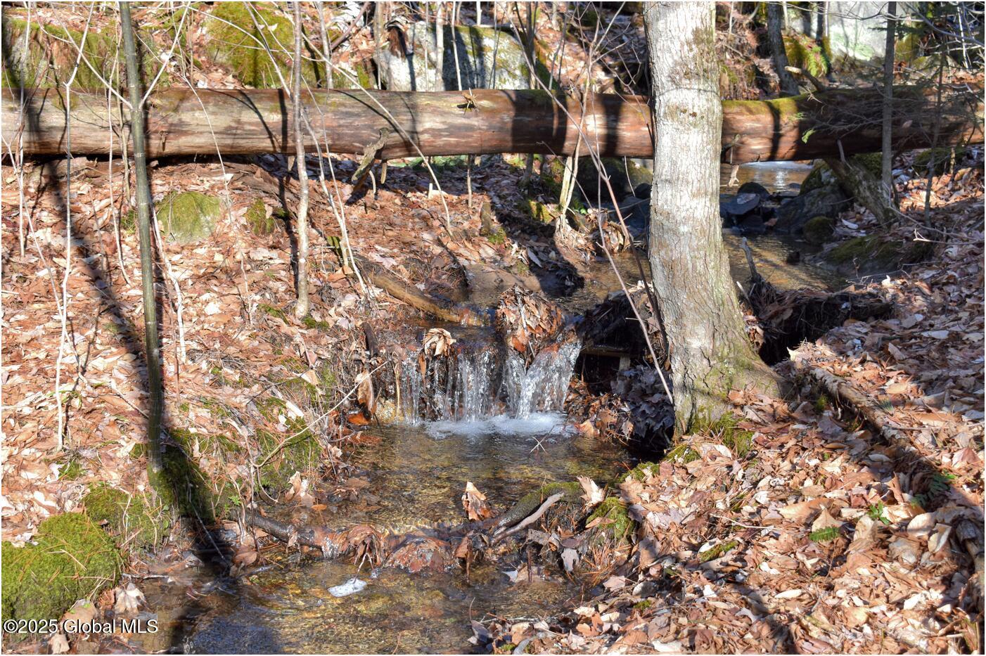 L9 New Hague Road Hague, NY 12836 - Photo 25 of 47 n28