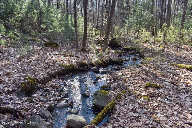 $119,000 | L9 New Hague Road, Hague, NY 12836