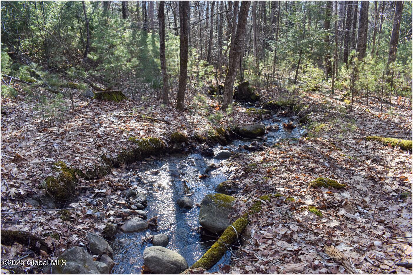 L9 New Hague Road Hague, NY 12836 - Photo 26 of 47 n21