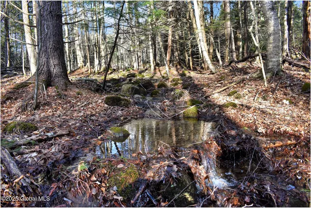 $119,000 | L9 New Hague Road, Hague, NY 12836