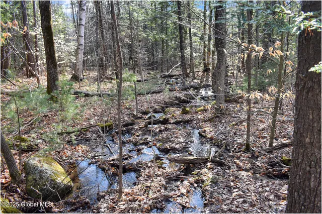 $119,000 | L9 New Hague Road, Hague, NY 12836