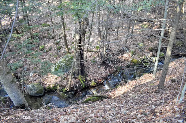 $119,000 | L9 New Hague Road, Hague, NY 12836