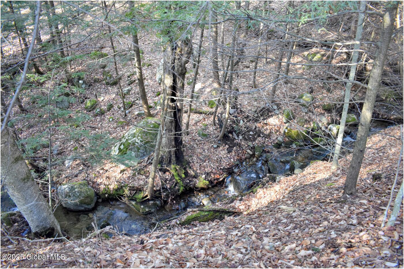 L9 New Hague Road Hague, NY 12836 - Photo 29 of 47 n29