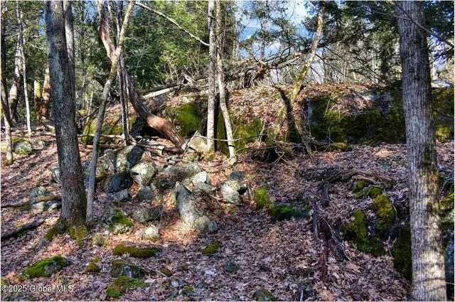 $119,000 | L9 New Hague Road, Hague, NY 12836