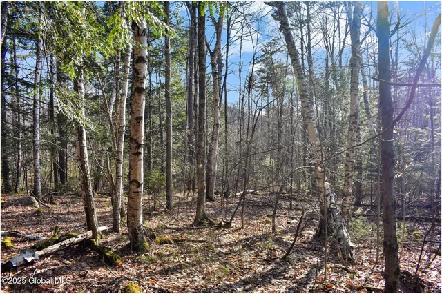 $119,000 | L9 New Hague Road, Hague, NY 12836