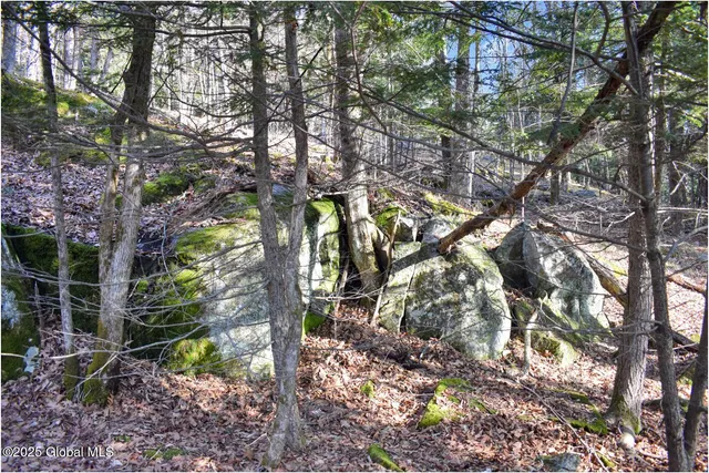 $119,000 | L9 New Hague Road, Hague, NY 12836