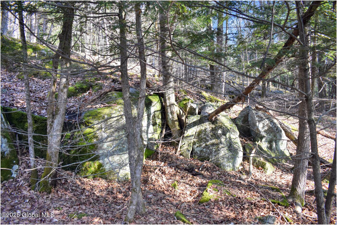 L9 New Hague Road Hague, NY 12836 - Photo 31 of 47 n49