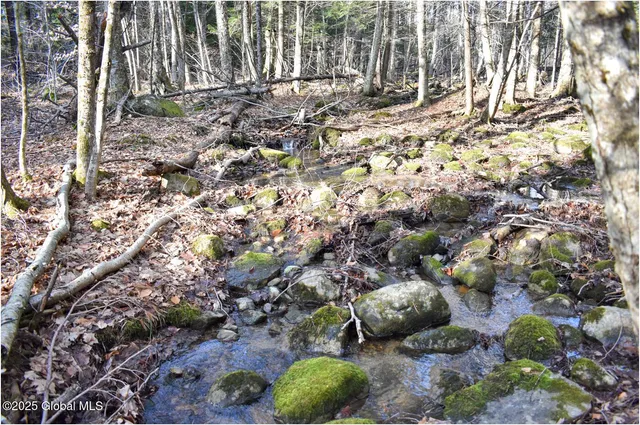 $119,000 | L9 New Hague Road, Hague, NY 12836