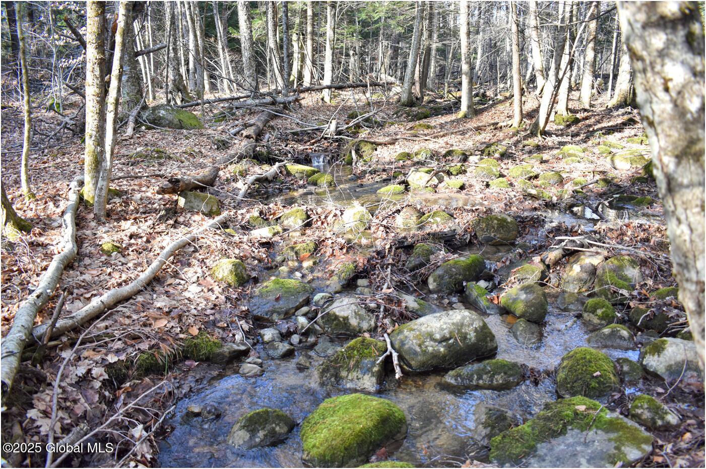 L9 New Hague Road Hague, NY 12836 - Photo 32 of 47 n13