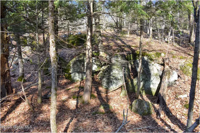 $119,000 | L9 New Hague Road, Hague, NY 12836