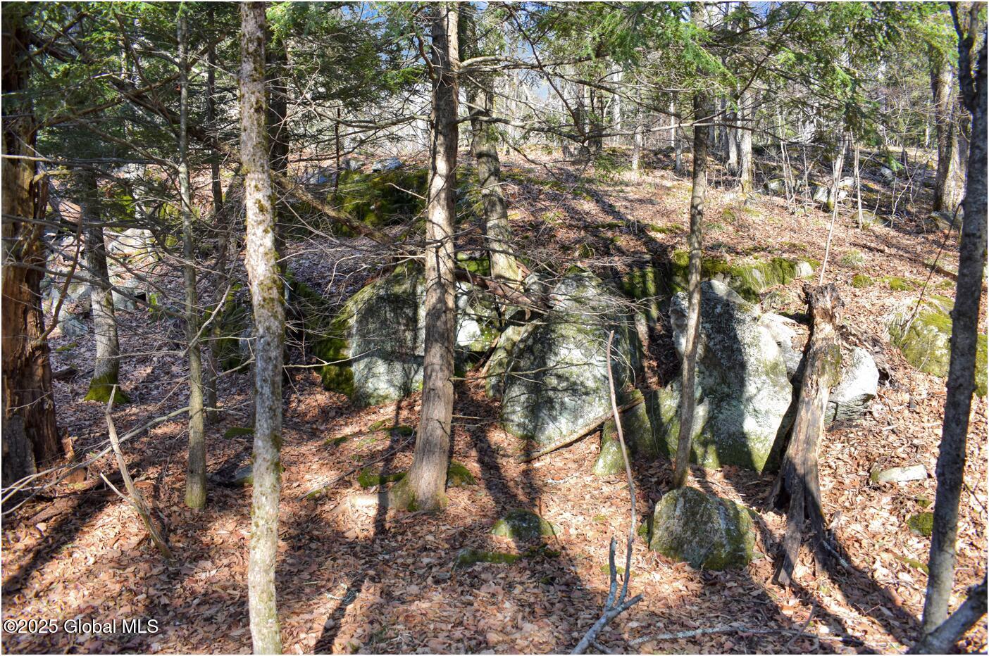 L9 New Hague Road Hague, NY 12836 - Photo 33 of 47 n46