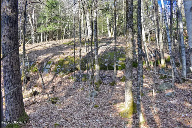 $119,000 | L9 New Hague Road, Hague, NY 12836