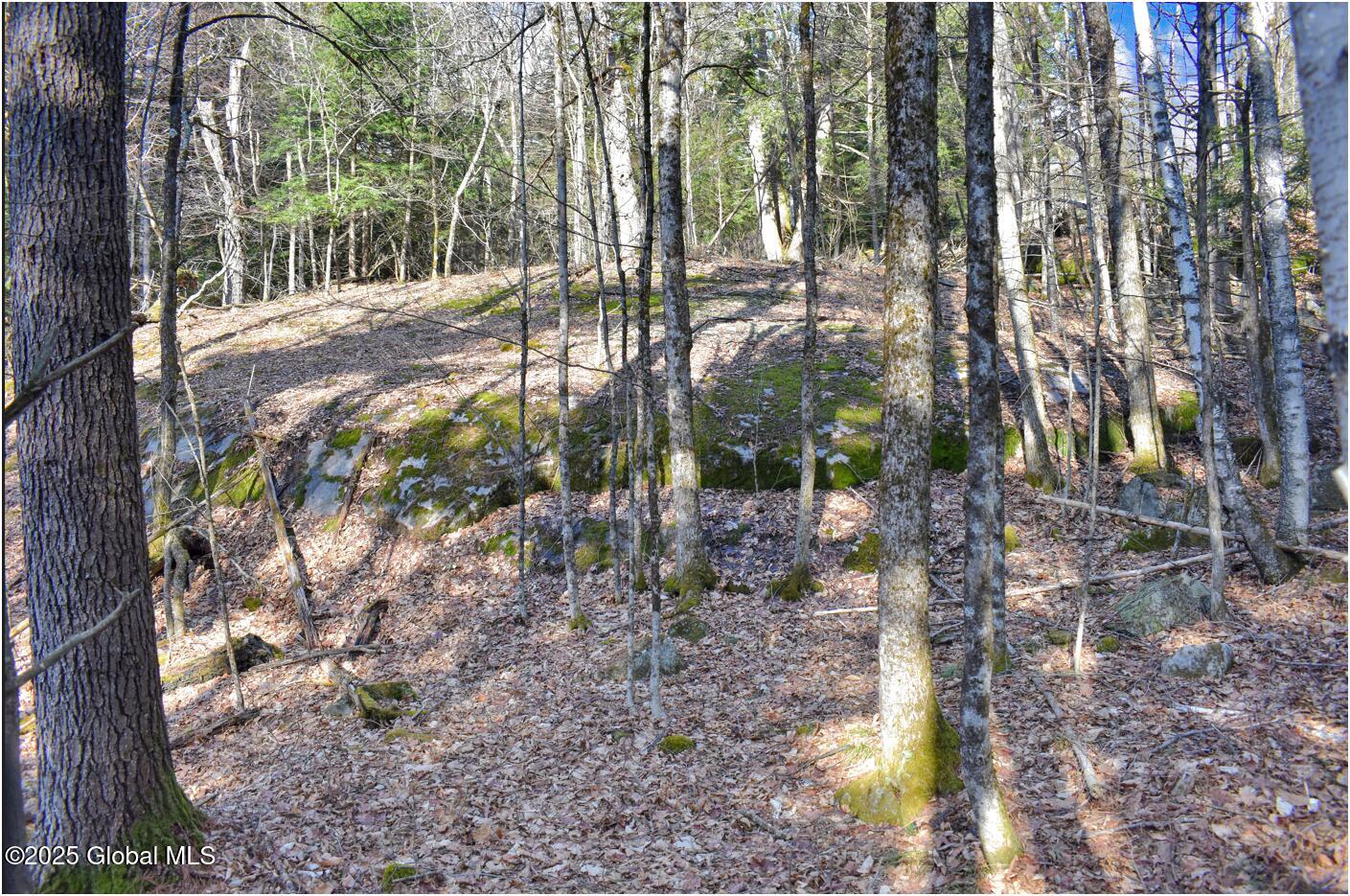 L9 New Hague Road Hague, NY 12836 - Photo 34 of 47 n51