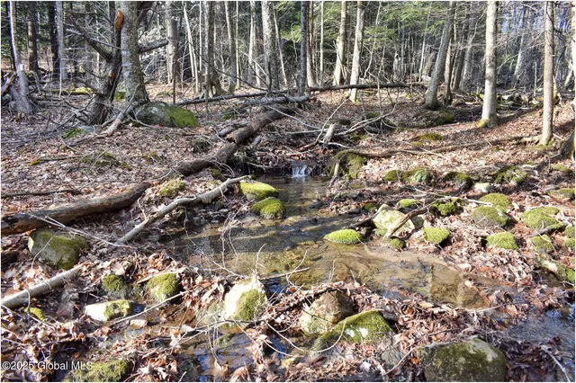 $119,000 | L9 New Hague Road, Hague, NY 12836