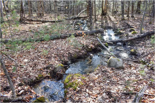 $119,000 | L9 New Hague Road, Hague, NY 12836