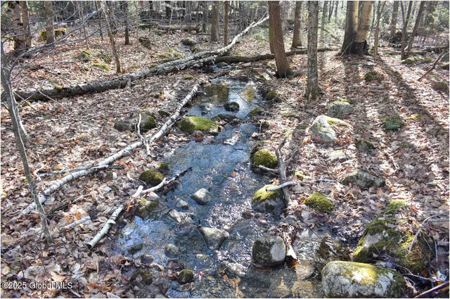 $119,000 | L9 New Hague Road, Hague, NY 12836