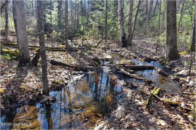 $119,000 | L9 New Hague Road, Hague, NY 12836