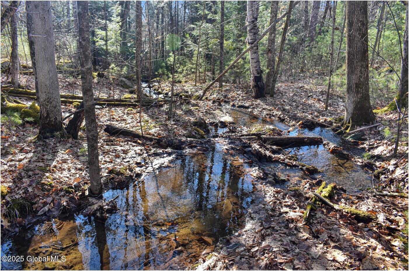 L9 New Hague Road Hague, NY 12836 - Photo 38 of 47 n23